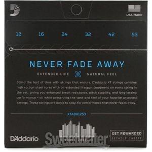 1605598311659-D'Addario XTABR1253 XT 8020 Bronze -.012-.053 Light Acoustic Guitar Strings.jpg